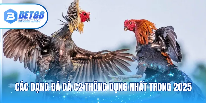 Các dạng đá gà C2 thông dụng nhất trong 2025