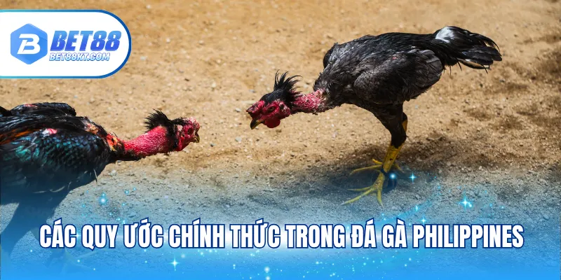Các quy ước chính thức trong đá gà Philippines