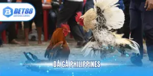 Đá Gà Philippines