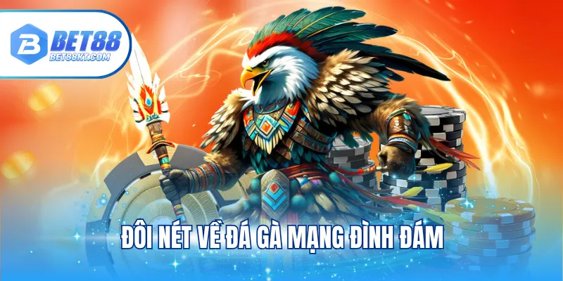 Đôi nét về đá gà mạng đình đám