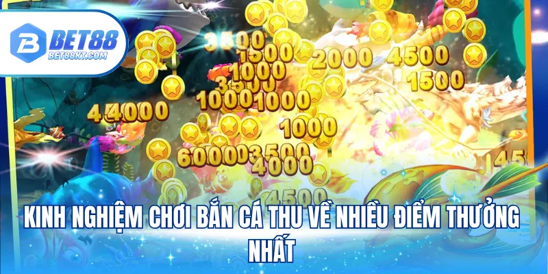 Kinh nghiệm chơi bắn cá thu về nhiều điểm thưởng nhất
