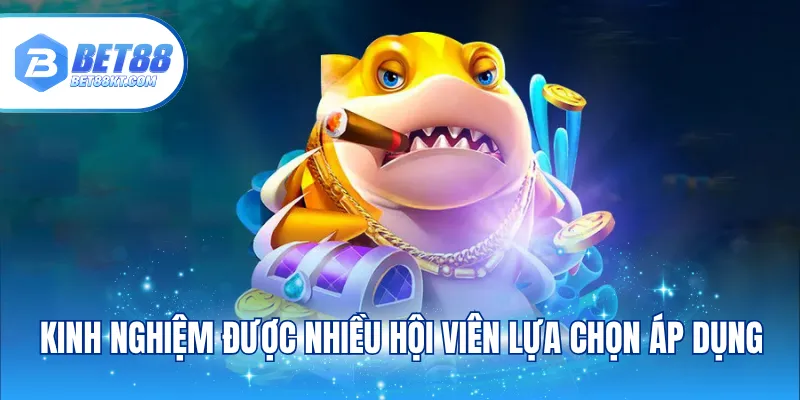Kinh nghiệm được nhiều hội viên lựa chọn áp dụng