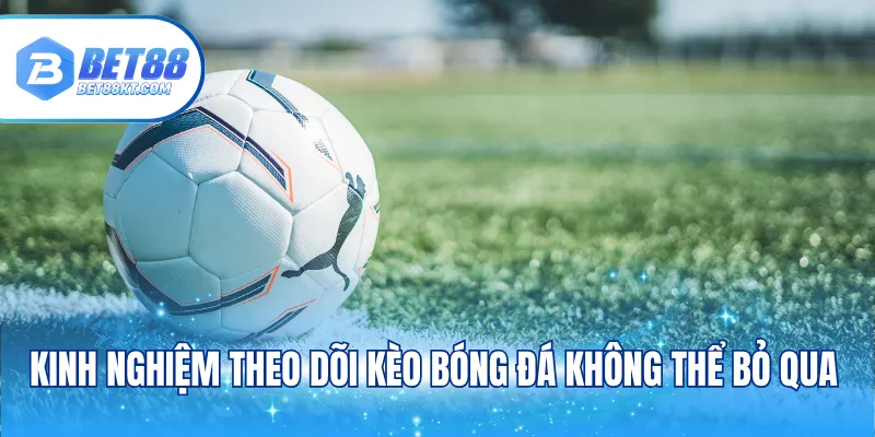 Kinh nghiệm theo dõi kèo bóng đá không thể bỏ qua