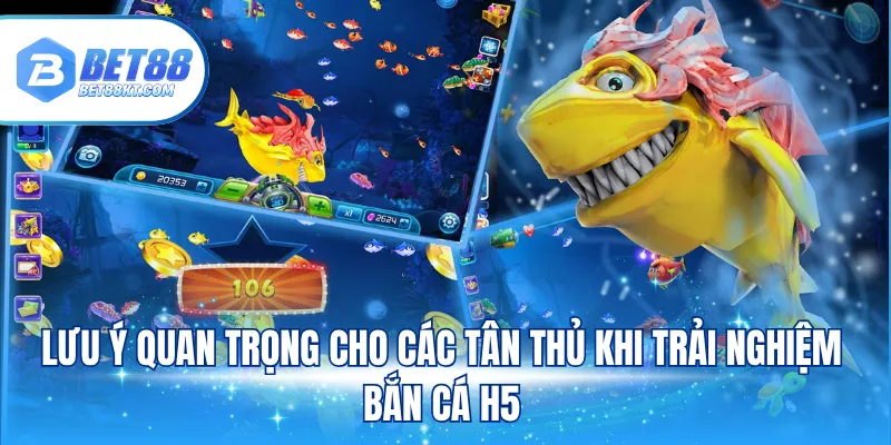 Lưu ý quan trọng cho các tân thủ khi trải nghiệm bắn cá H5