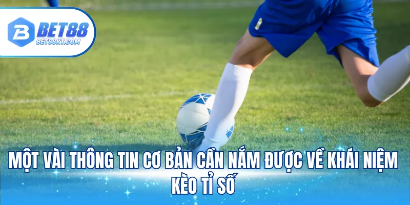 Một vài thông tin cơ bản cần nắm được về khái niệm kèo tỉ số