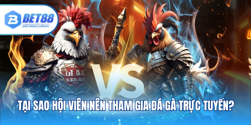 Tại sao hội viên nên tham gia đá gà trực tuyến?