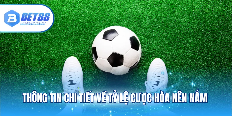 Thông tin chi tiết về tỷ lệ cược hòa nên nắm