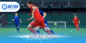 trực tiếp bóng đá