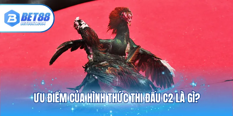 Ưu điểm của hình thức thi đấu C2 là gì?
